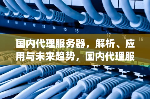 国内代理服务器，解析、应用与未来趋势，国内代理服务器ip地址
