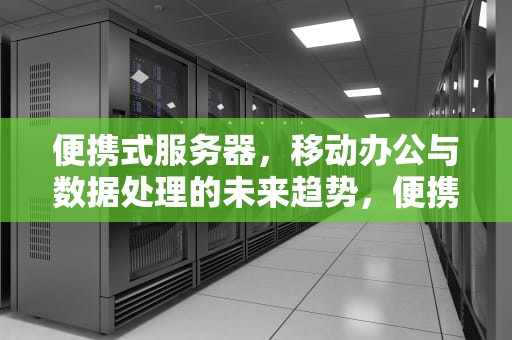 便携式服务器，移动办公与数据处理的未来趋势，便携式服务器是什么