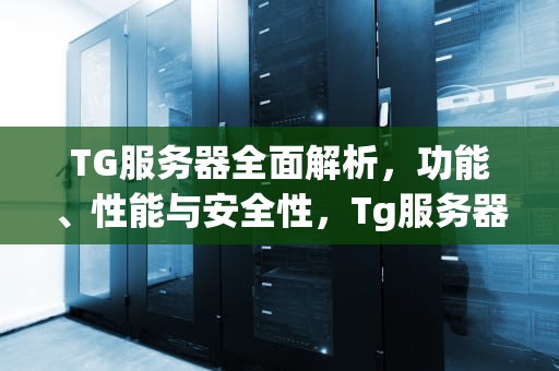TG服务器全面解析，功能、性能与安全性，Tg服务器在哪里
