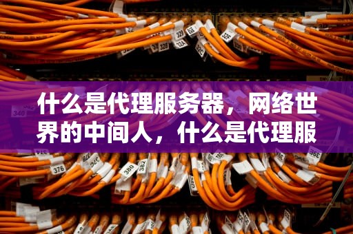 什么是代理服务器，网络世界的中间人，什么是代理服务器地址和端口