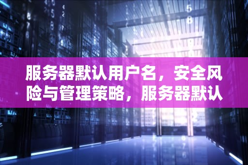 服务器默认用户名，安全风险与管理策略，服务器默认用户名是什么