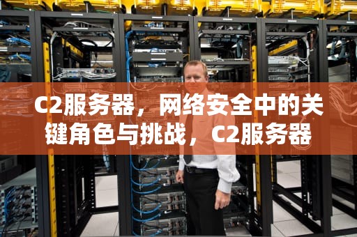 C2服务器，网络安全中的关键角色与挑战，C2服务器