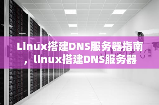 Linux搭建DNS服务器指南，linux搭建DNS服务器