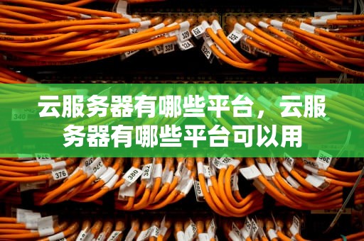 云服务器有哪些平台，云服务器有哪些平台可以用