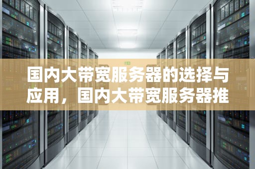 国内大带宽服务器的选择与应用，国内大带宽服务器推荐