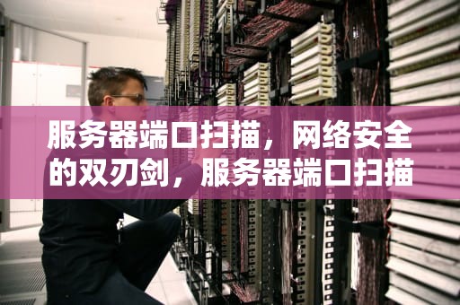 服务器端口扫描，网络安全的双刃剑，服务器端口扫描器