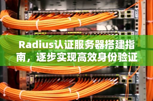 Radius认证服务器搭建指南，逐步实现高效身份验证，radius认证服务器搭建认证上网