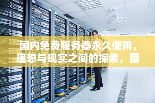 国内免费服务器永久使用，理想与现实之间的探索，国内免费服务器永久使用下载