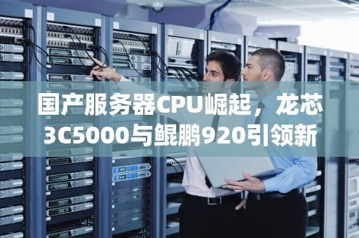 国产服务器CPU崛起，龙芯3C5000与鲲鹏920引领新潮流，国产服务器cpu有哪些品牌