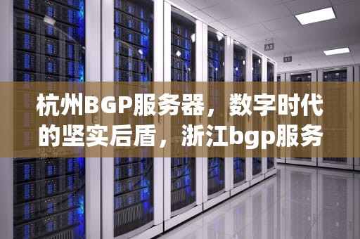 杭州BGP服务器，数字时代的坚实后盾，浙江bgp服务器
