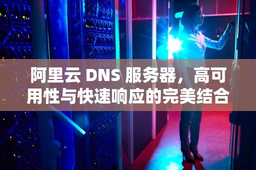 阿里云 DNS 服务器，高可用性与快速响应的完美结合，阿里巴巴dns