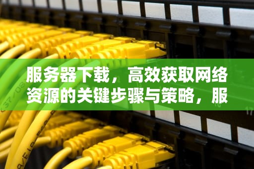 服务器下载，高效获取网络资源的关键步骤与策略，服务器下载安装