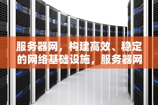 服务器网，构建高效、稳定的网络基础设施，服务器网址怎么看