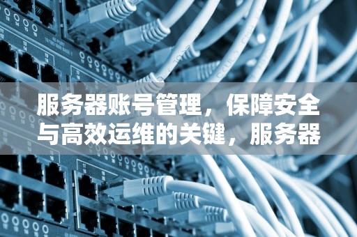 服务器账号管理，保障安全与高效运维的关键，服务器账号和密码在哪查看