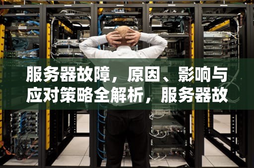 服务器故障，原因、影响与应对策略全解析，服务器故障是什么意思