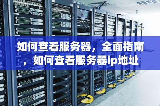 如何查看服务器，全面指南，如何查看服务器ip地址