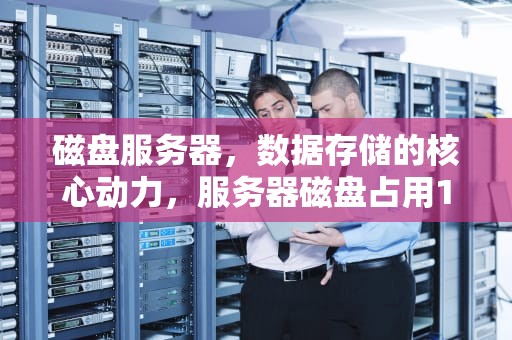 磁盘服务器，数据存储的核心动力，服务器磁盘占用100%怎么解决