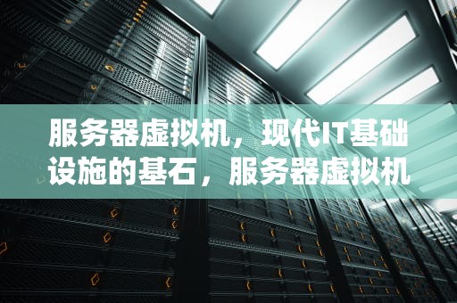 服务器虚拟机，现代IT基础设施的基石，服务器虚拟机系统