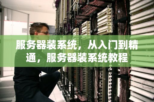 服务器装系统，从入门到精通，服务器装系统教程