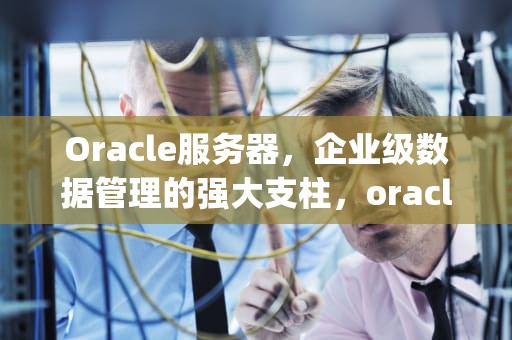 Oracle服务器，企业级数据管理的强大支柱，oracle服务器执行sql脚本