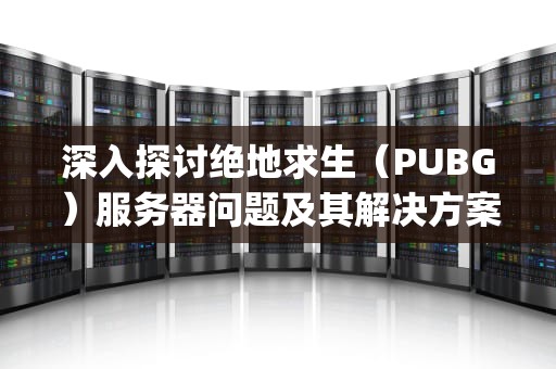 深入探讨绝地求生（PUBG）服务器问题及其解决方案，pubg服务器目前非常繁忙请稍后再试