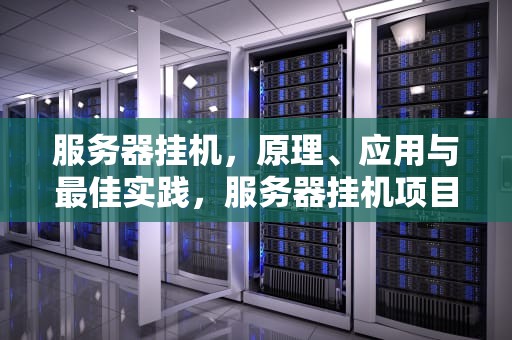 服务器挂机，原理、应用与最佳实践，服务器挂机项目