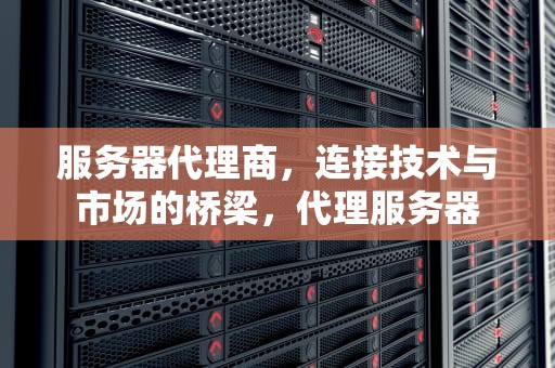 服务器代理商，连接技术与市场的桥梁，代理服务器