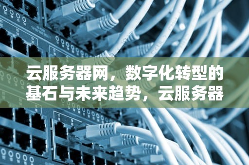 云服务器网，数字化转型的基石与未来趋势，云服务器网络测速
