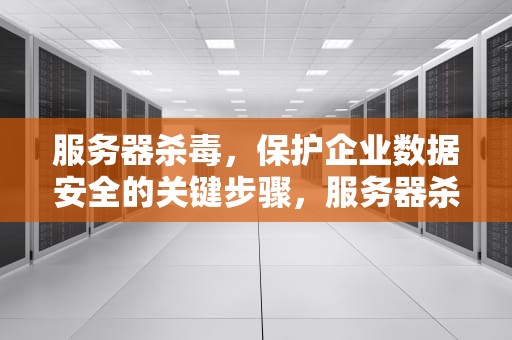 服务器杀毒，保护企业数据安全的关键步骤，服务器杀毒软件下载