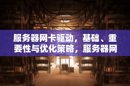 服务器网卡驱动，基础、重要性与优化策略，服务器网卡驱动怎么装