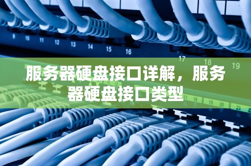 服务器硬盘接口详解，服务器硬盘接口类型