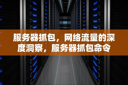 服务器抓包，网络流量的深度洞察，服务器抓包命令