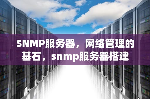 SNMP服务器，网络管理的基石，snmp服务器搭建