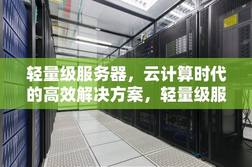 轻量级服务器，云计算时代的高效解决方案，轻量级服务器和云服务器的区别