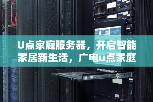 U点家庭服务器，开启智能家居新生活，广电u点家庭服务器