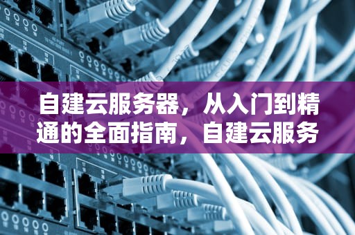 自建云服务器，从入门到精通的全面指南，自建云服务器要多少钱