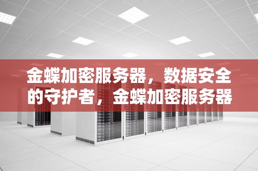 金蝶加密服务器，数据安全的守护者，金蝶加密服务器怎么启动