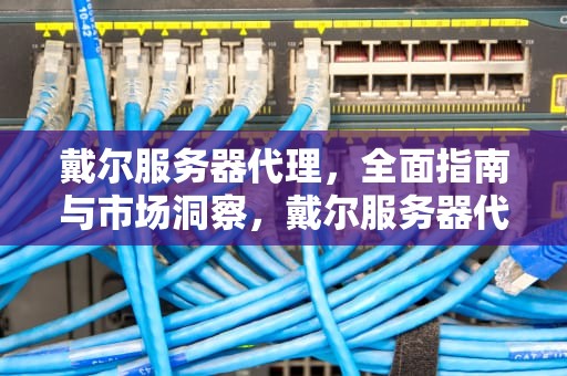 戴尔服务器代理，全面指南与市场洞察，戴尔服务器代理等级