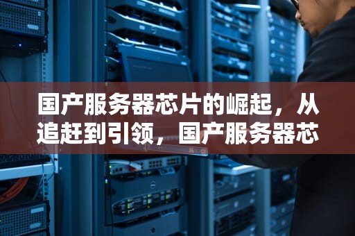 国产服务器芯片的崛起，从追赶到引领，国产服务器芯片架构