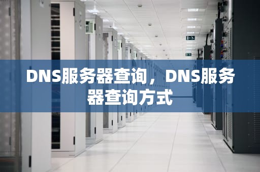 DNS服务器查询，DNS服务器查询方式