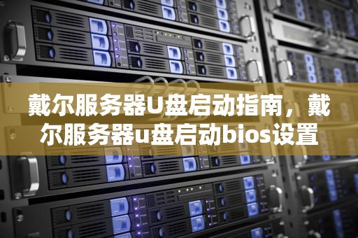 戴尔服务器U盘启动指南，戴尔服务器u盘启动bios设置