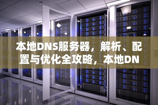 本地DNS服务器，解析、配置与优化全攻略，本地DNS服务器在哪里