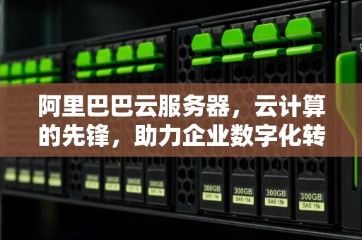 阿里巴巴云服务器，云计算的先锋，助力企业数字化转型，阿里巴巴云服务器价格