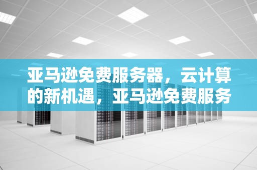 亚马逊免费服务器，云计算的新机遇，亚马逊免费服务器一年