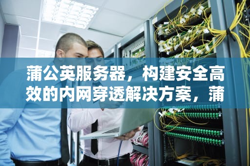 蒲公英服务器，构建安全高效的内网穿透解决方案，蒲公英服务器连接错误