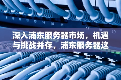 深入浦东服务器市场，机遇与挑战并存，浦东服务器这家店的硬盘