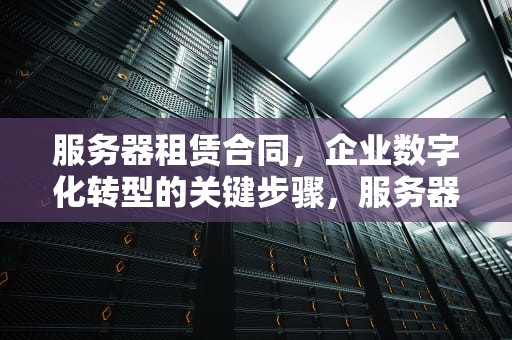 服务器租赁合同，企业数字化转型的关键步骤，服务器租赁合同范本