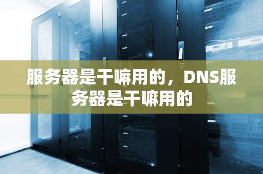 服务器是干嘛用的，DNS服务器是干嘛用的