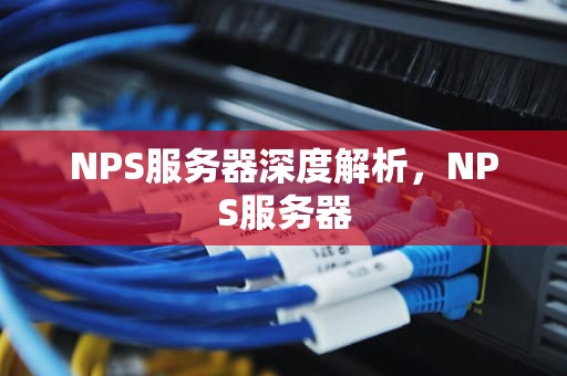 NPS服务器深度解析，NPS服务器