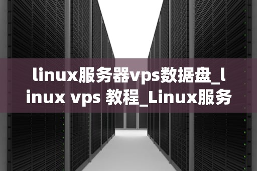 linux服务器vps数据盘_linux vps 教程_Linux服务器VPS数据盘的深度探讨